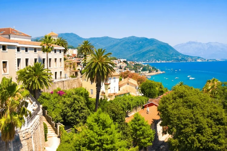 Villas in Herceg Novi